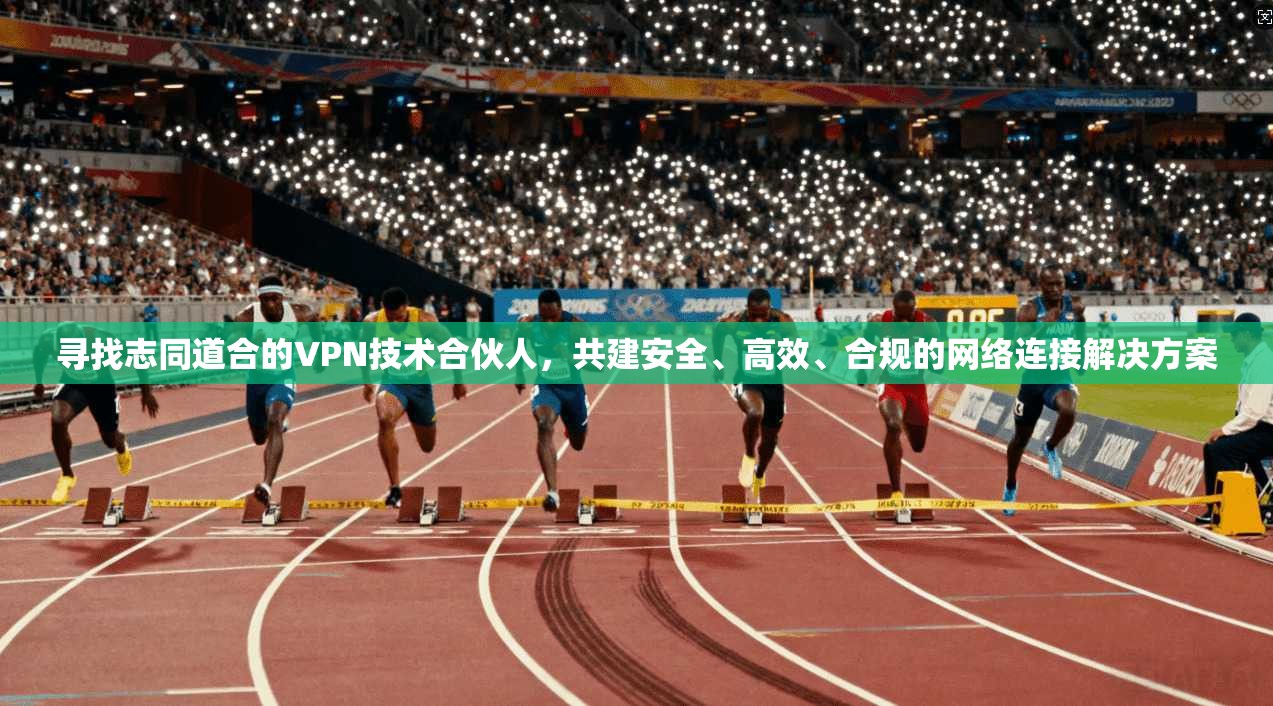 寻找志同道合的VPN技术合伙人，共建安全、高效、合规的网络连接解决方案