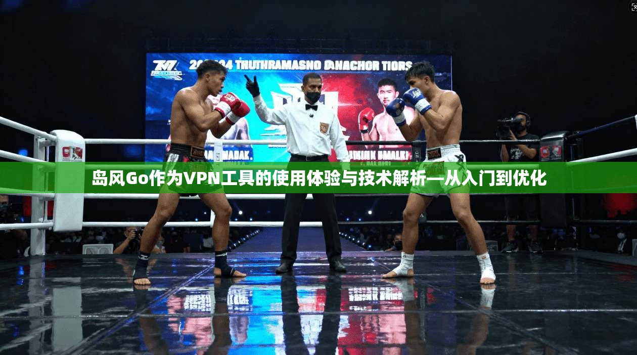 岛风Go作为VPN工具的使用体验与技术解析—从入门到优化