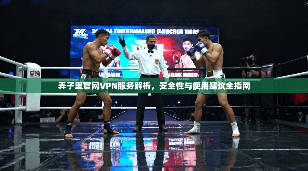 弄子里官网VPN服务解析，安全性与使用建议全指南