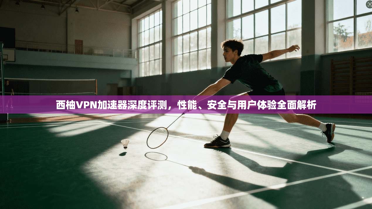 西柚VPN加速器深度评测，性能、安全与用户体验全面解析