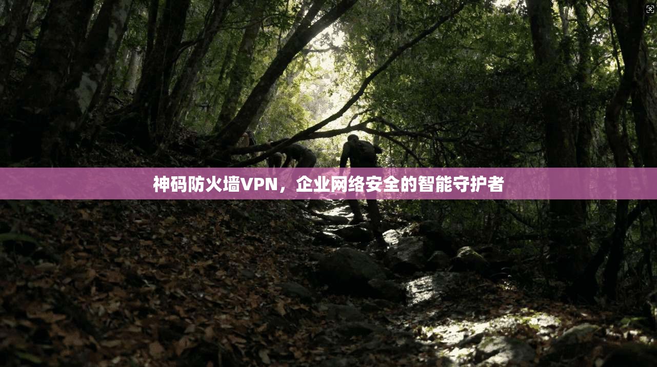 神码防火墙VPN，企业网络安全的智能守护者