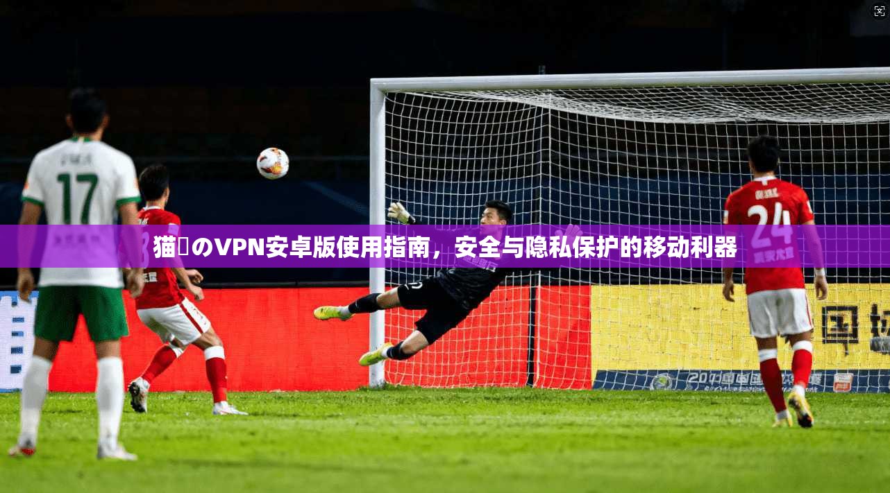 猫執のVPN安卓版使用指南，安全与隐私保护的移动利器