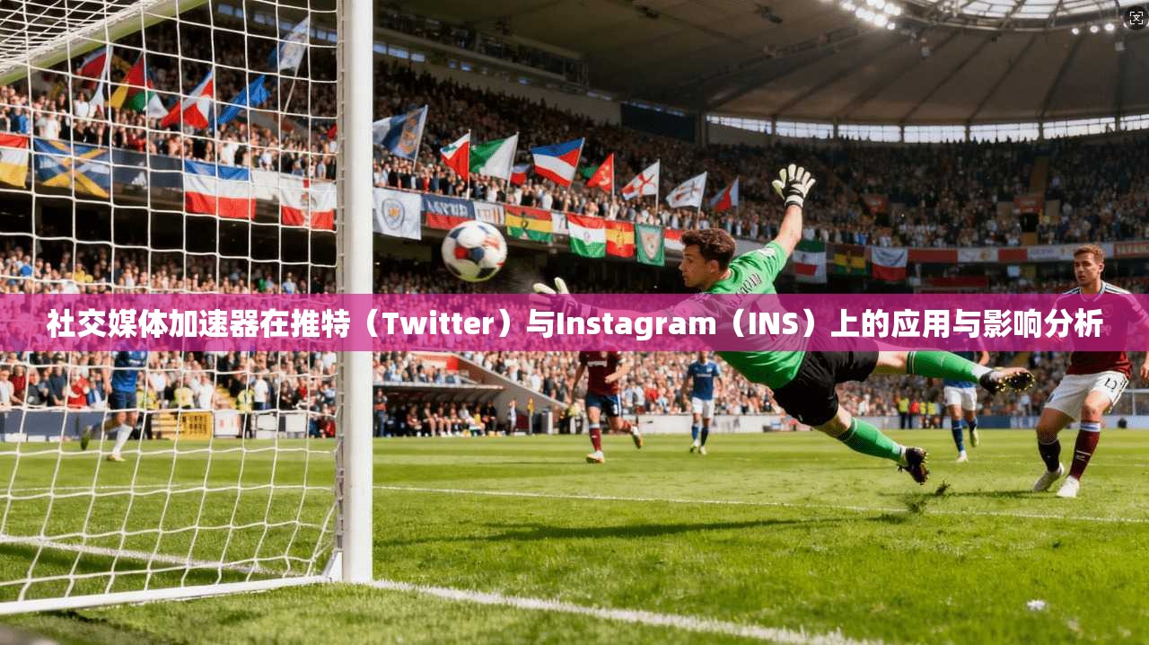 社交媒体加速器在推特（Twitter）与Instagram（INS）上的应用与影响分析