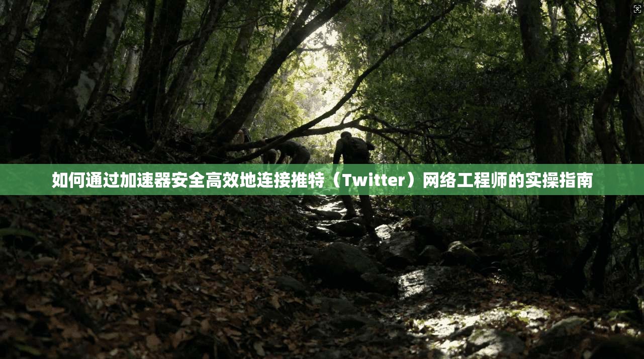 如何通过加速器安全高效地连接推特（Twitter）网络工程师的实操指南