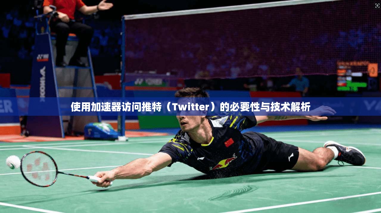 使用加速器访问推特(Twitter)的必要性与技术解析