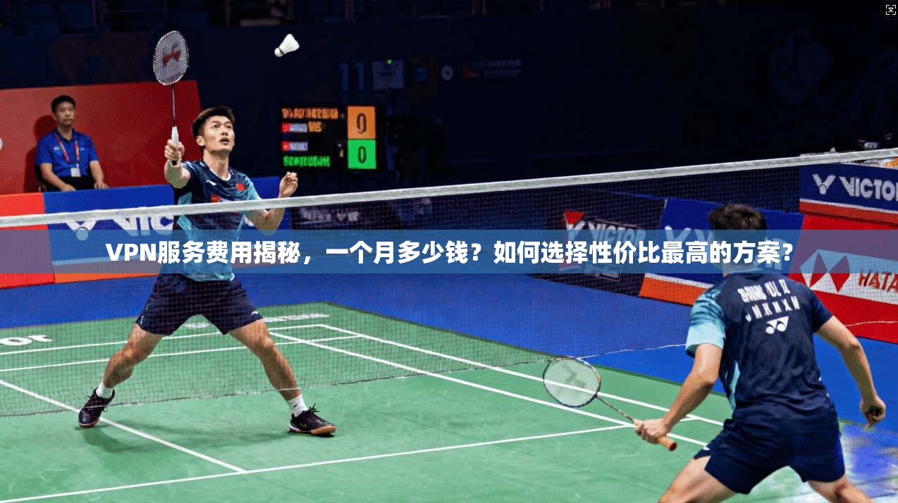 VPN服务费用揭秘,一个月多少钱?如何选择性价比最高的方案?