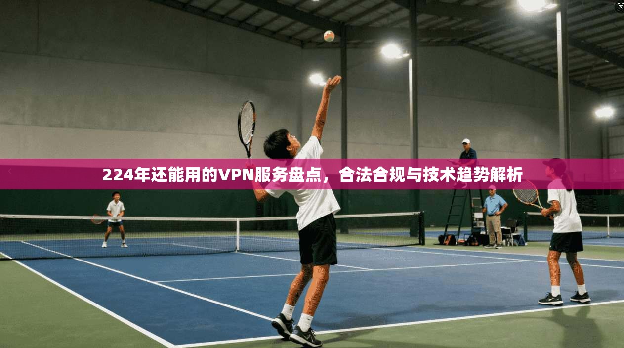 224年还能用的VPN服务盘点,合法合规与技术趋势解析