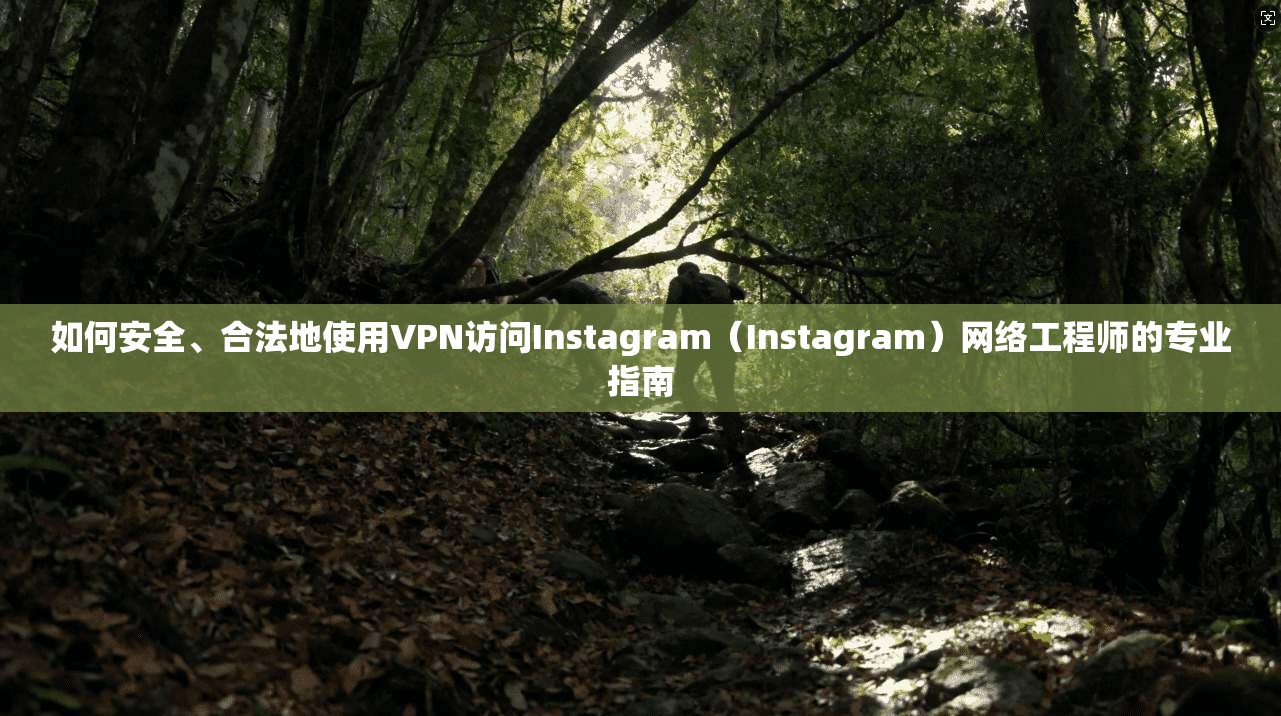 如何安全、合法地使用VPN访问Instagram（Instagram）网络工程师的专业指南