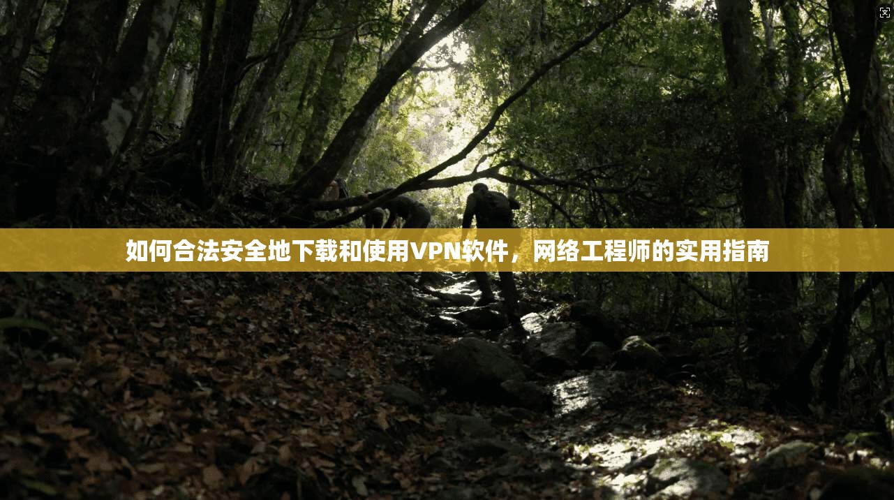 如何合法安全地下载和使用VPN软件，网络工程师的实用指南