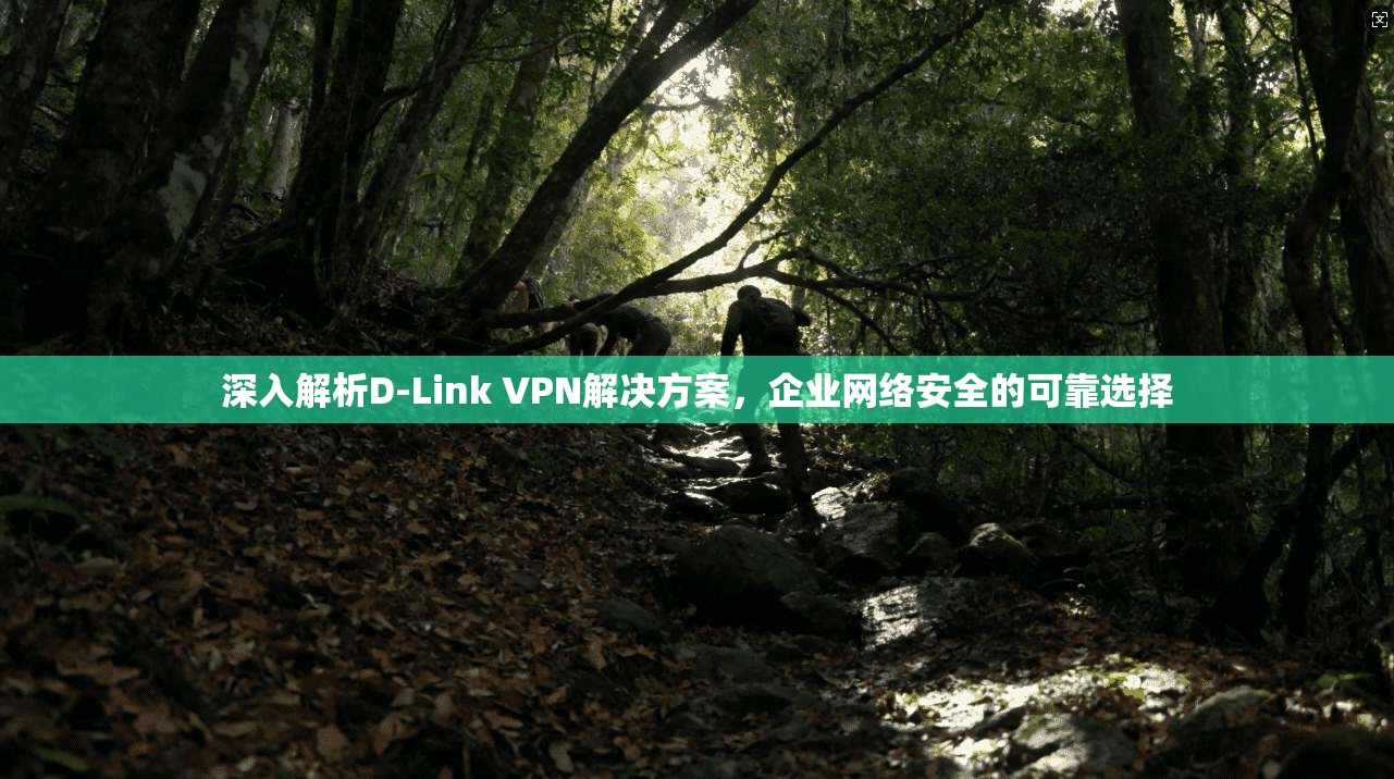 深入解析D-Link VPN解决方案，企业网络安全的可靠选择