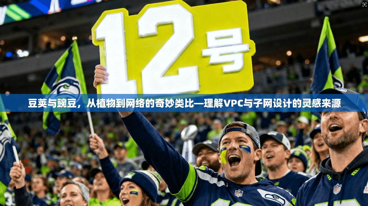 豆荚与豌豆，从植物到网络的奇妙类比—理解VPC与子网设计的灵感来源