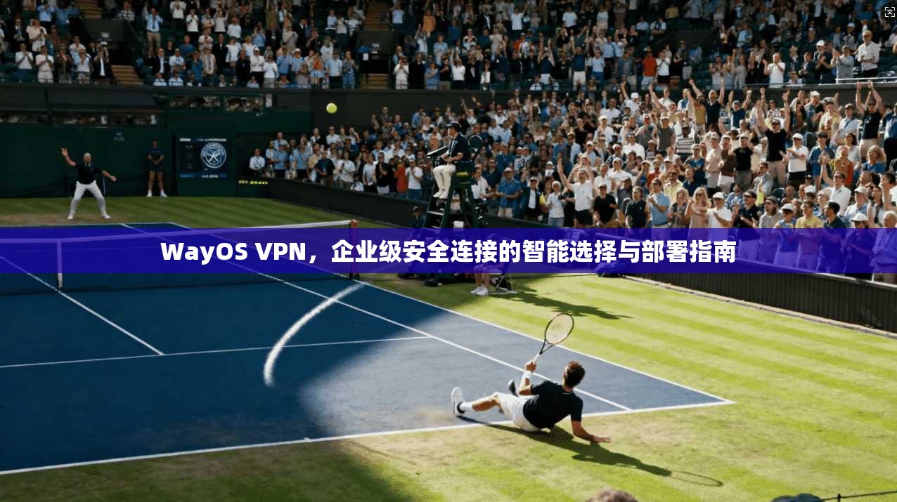 WayOS VPN,企业级安全连接的智能选择与部署指南