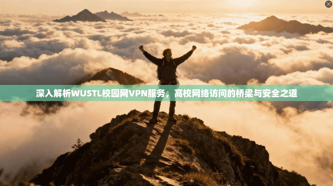 深入解析WUSTL校园网VPN服务，高校网络访问的桥梁与安全之道
