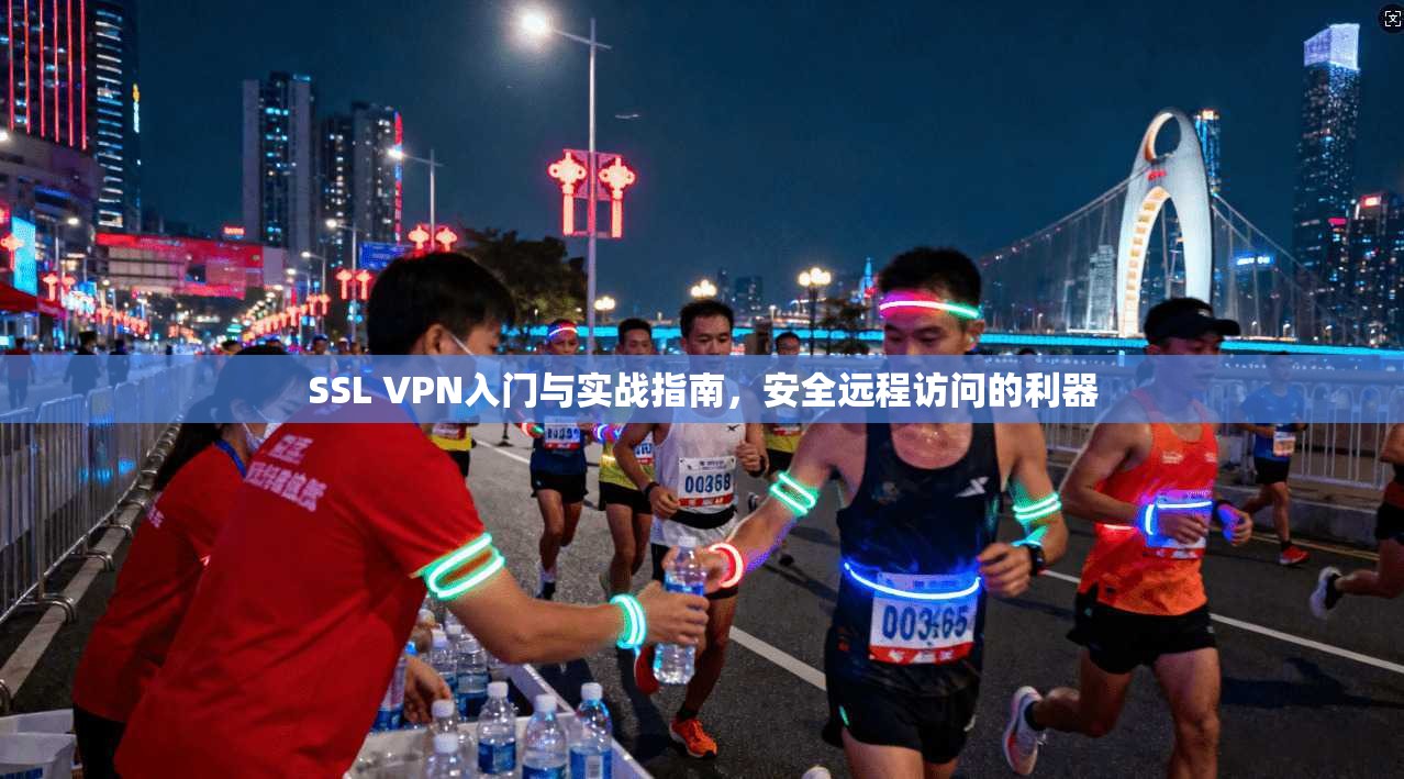 SSL VPN入门与实战指南,安全远程访问的利器