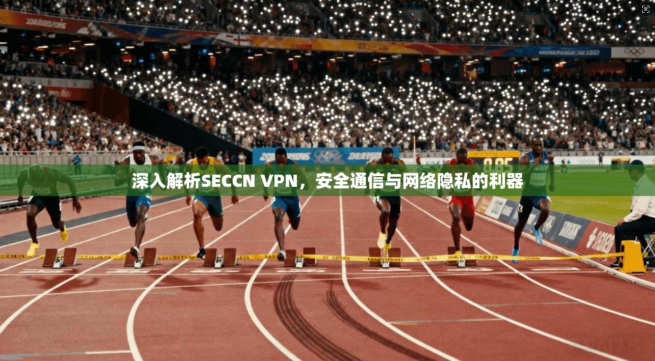 深入解析SECCN VPN，安全通信与网络隐私的利器