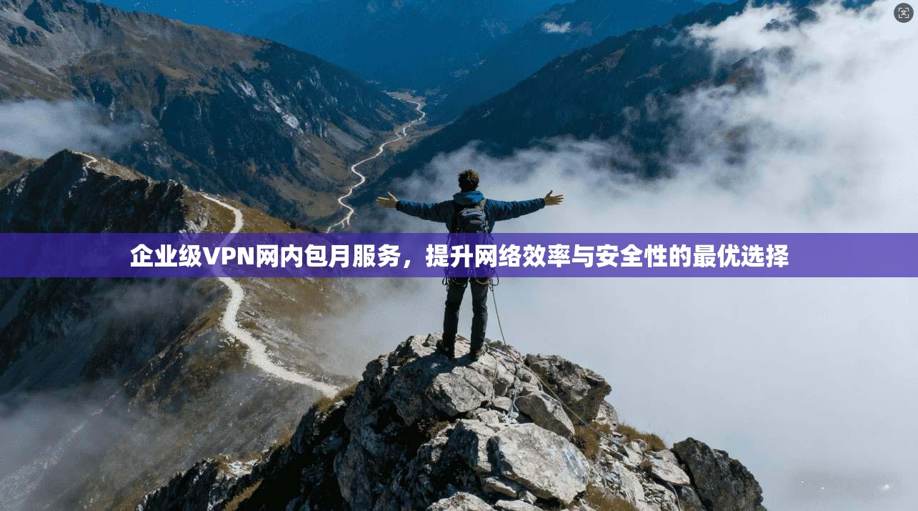 企业级VPN网内包月服务，提升网络效率与安全性的最优选择