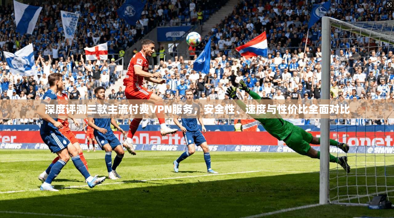 深度评测三款主流付费VPN服务,安全性、速度与性价比全面对比