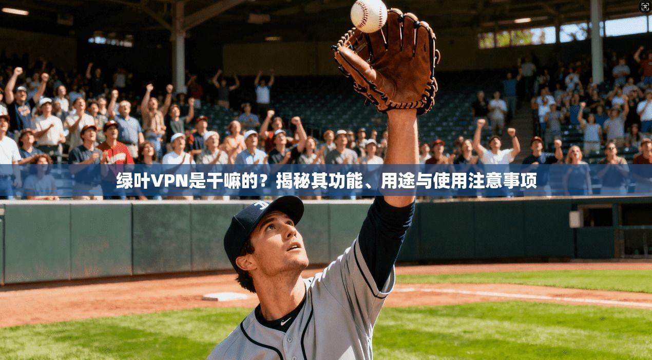 绿叶VPN是干嘛的?揭秘其功能、用途与使用注意事项