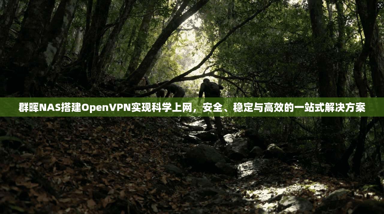 群晖NAS搭建OpenVPN实现科学上网，安全、稳定与高效的一站式解决方案