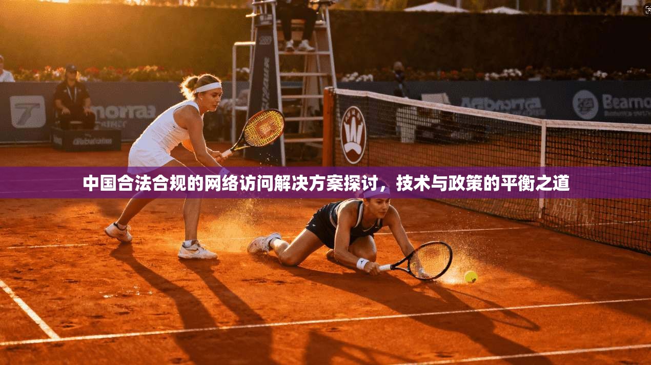 中国合法合规的网络访问解决方案探讨，技术与政策的平衡之道