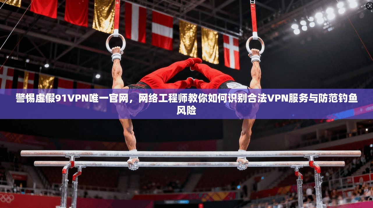 警惕虚假91VPN唯一官网，网络工程师教你如何识别合法VPN服务与防范钓鱼风险