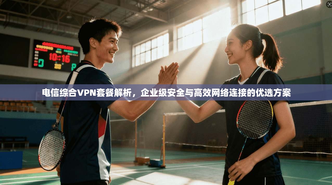电信综合VPN套餐解析，企业级安全与高效网络连接的优选方案