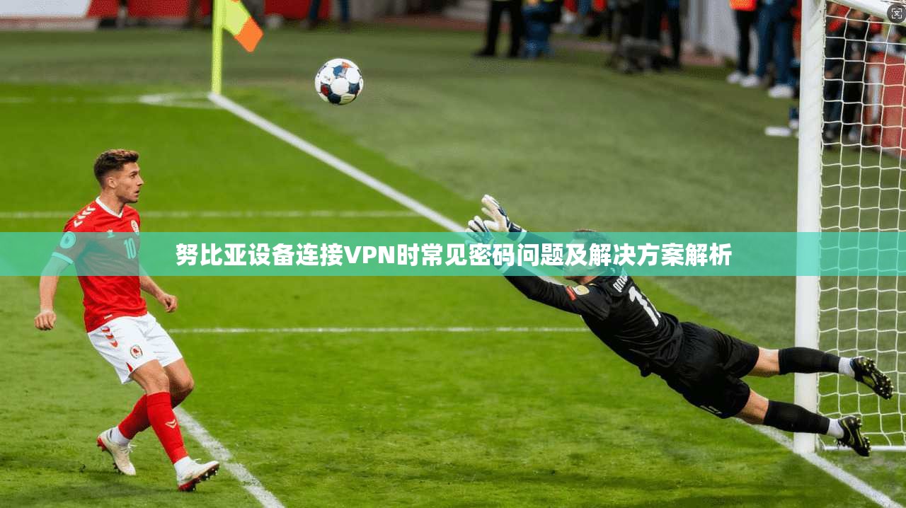 努比亚设备连接VPN时常见密码问题及解决方案解析