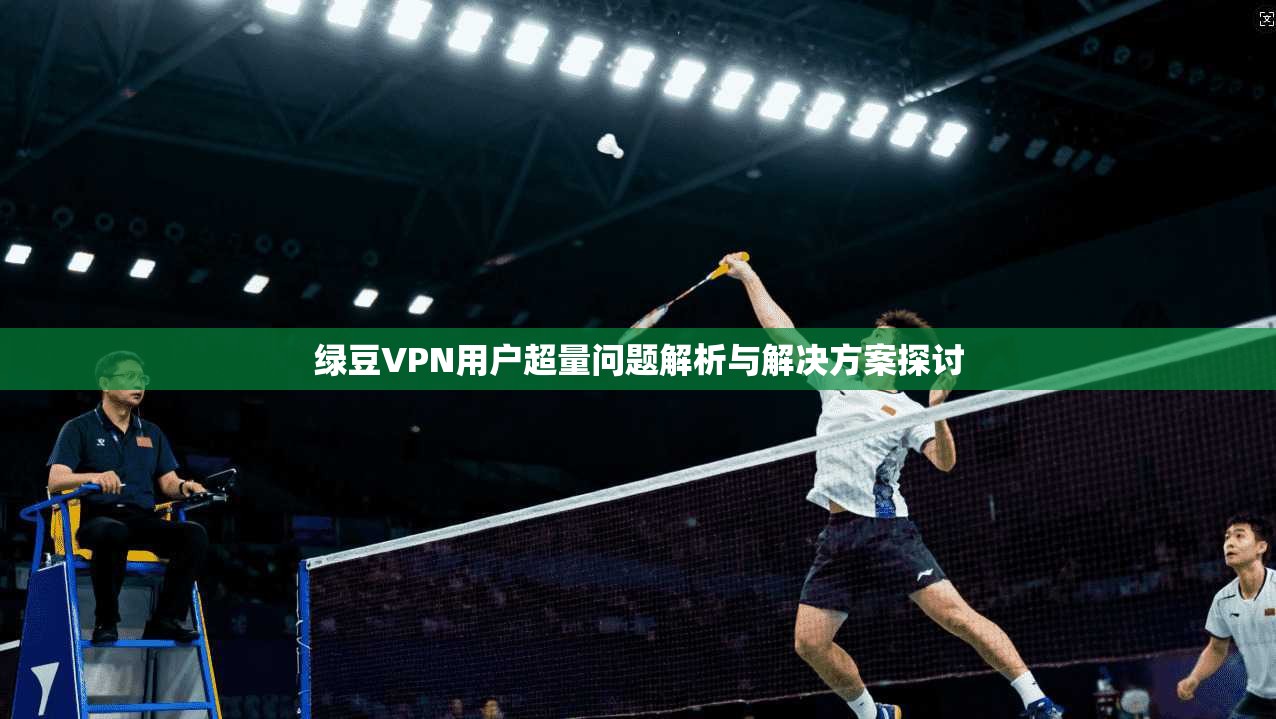绿豆VPN用户超量问题解析与解决方案探讨