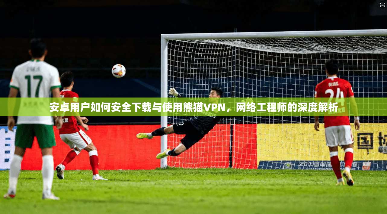 安卓用户如何安全下载与使用熊猫VPN，网络工程师的深度解析
