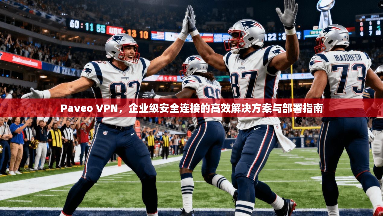 Paveo VPN，企业级安全连接的高效解决方案与部署指南