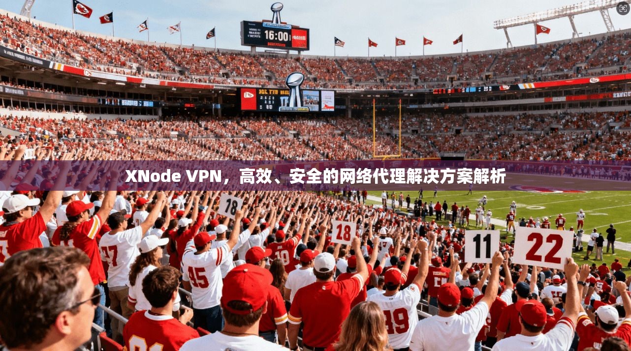 XNode VPN，高效、安全的网络代理解决方案解析