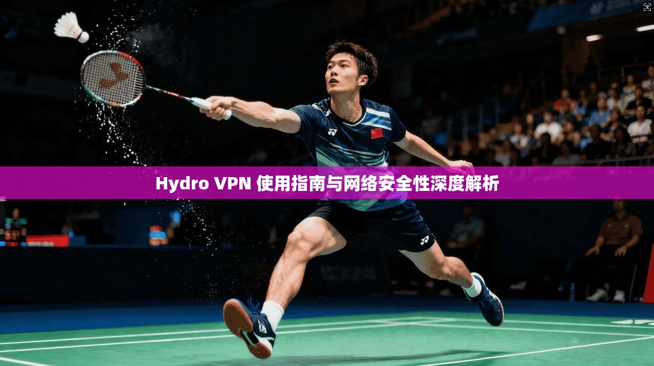 Hydro VPN 使用指南与网络安全性深度解析