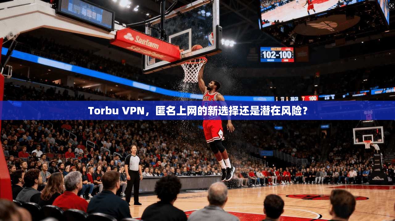 Torbu VPN，匿名上网的新选择还是潜在风险？