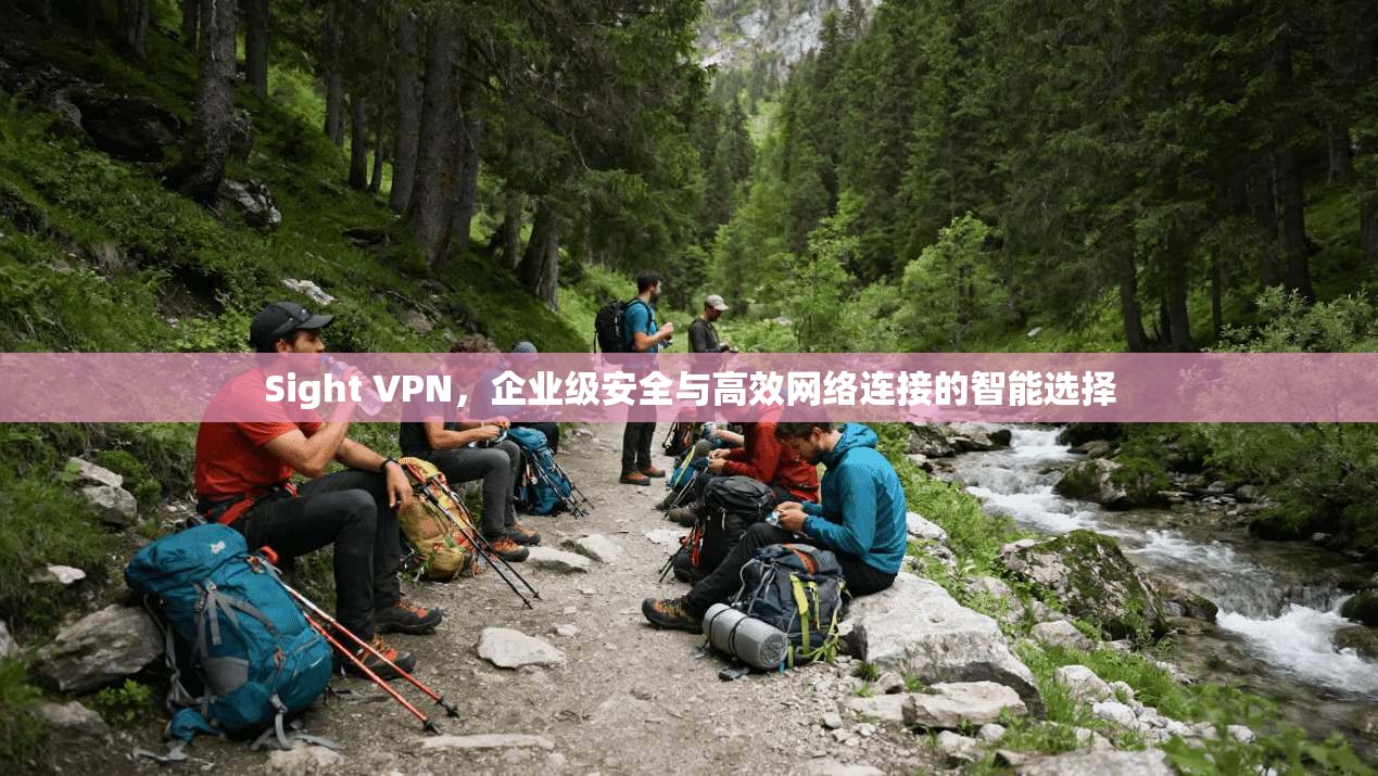 Sight VPN，企业级安全与高效网络连接的智能选择