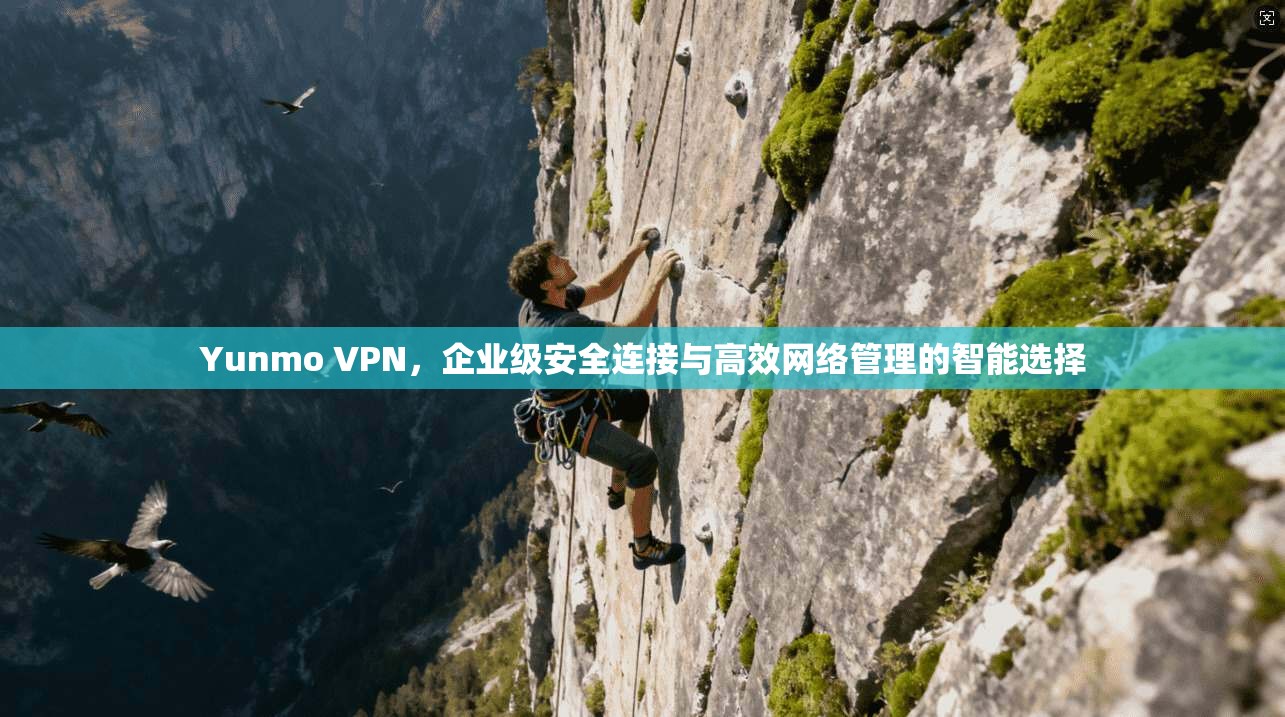 Yunmo VPN，企业级安全连接与高效网络管理的智能选择