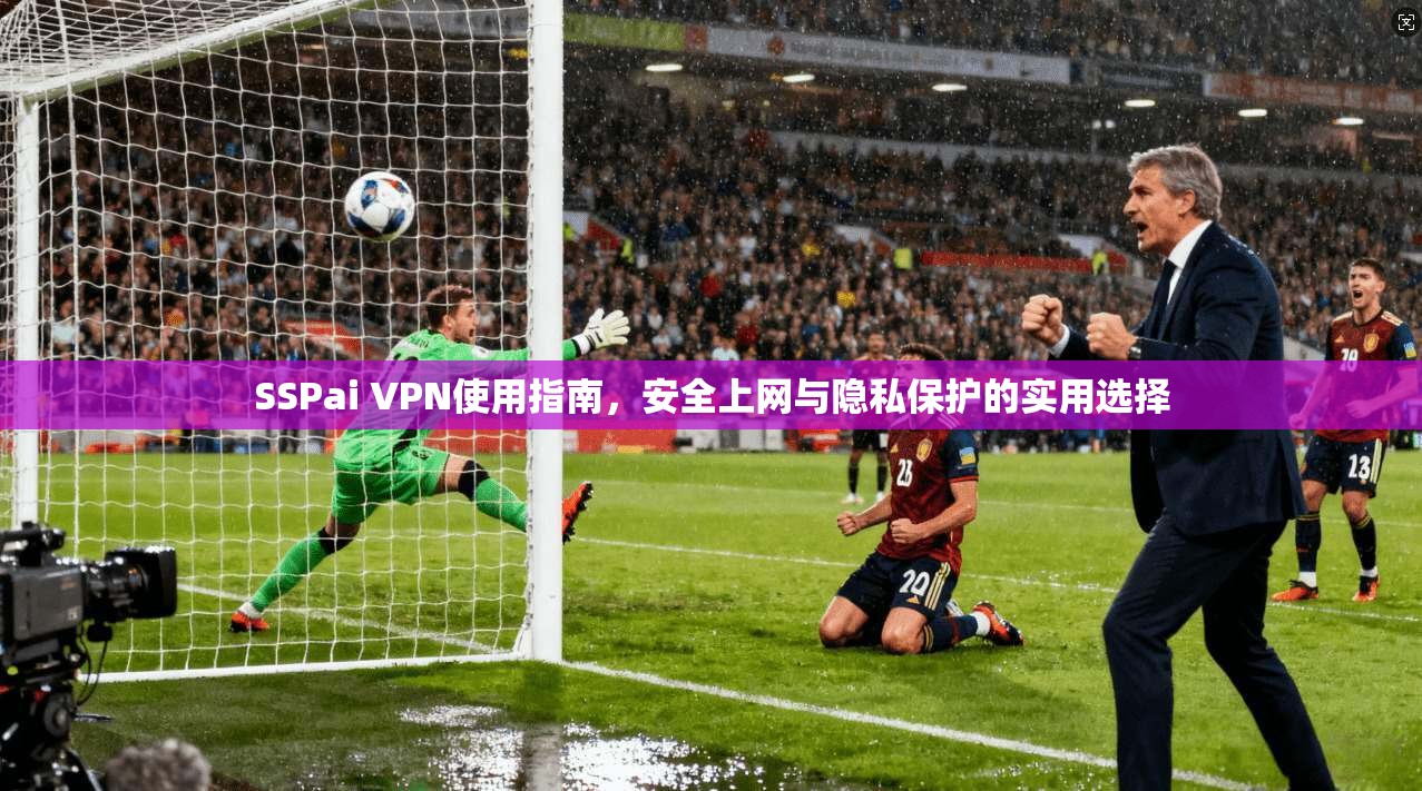 SSPai VPN使用指南，安全上网与隐私保护的实用选择
