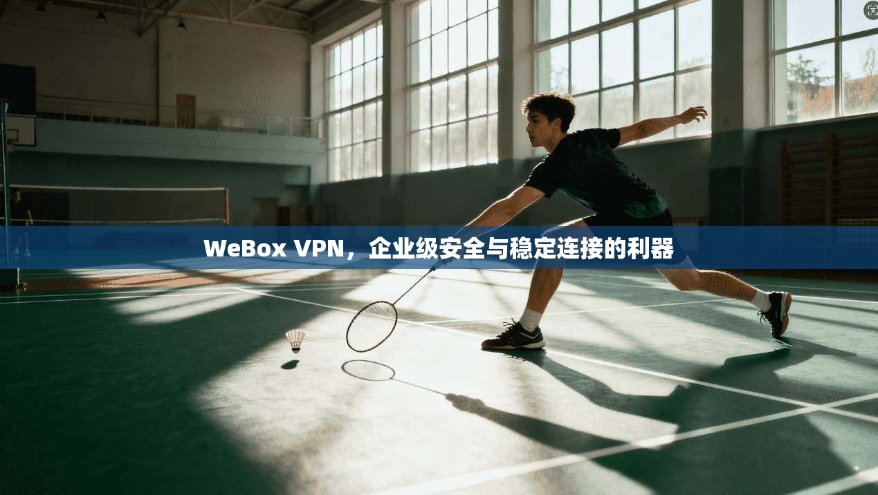 WeBox VPN，企业级安全与稳定连接的利器