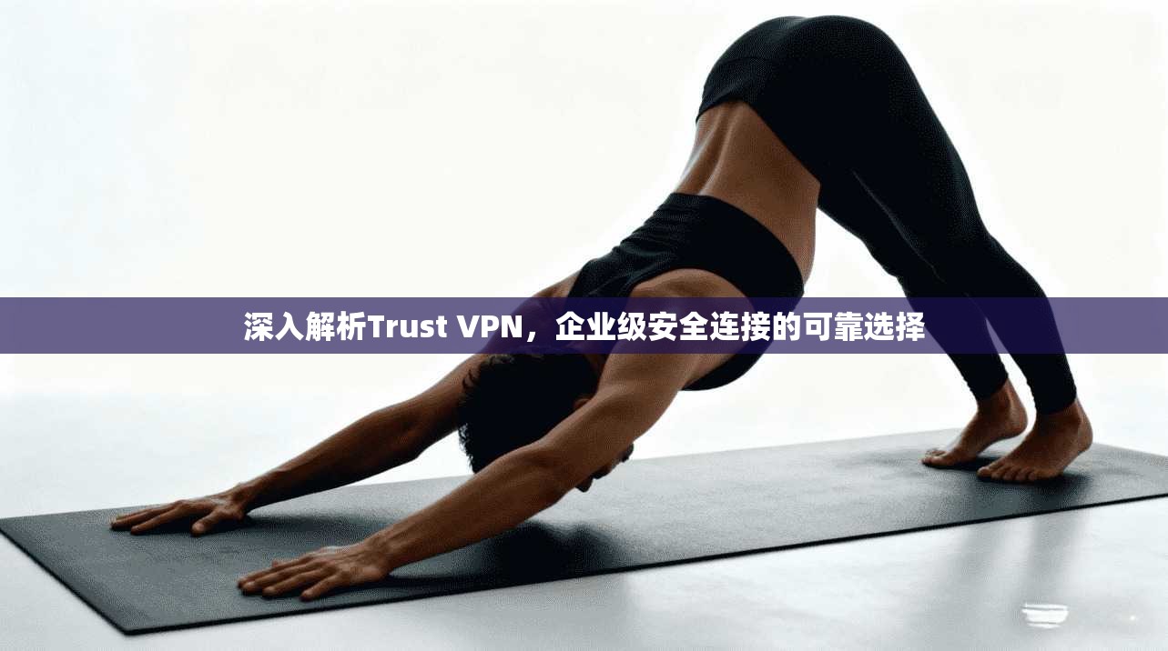 深入解析Trust VPN，企业级安全连接的可靠选择