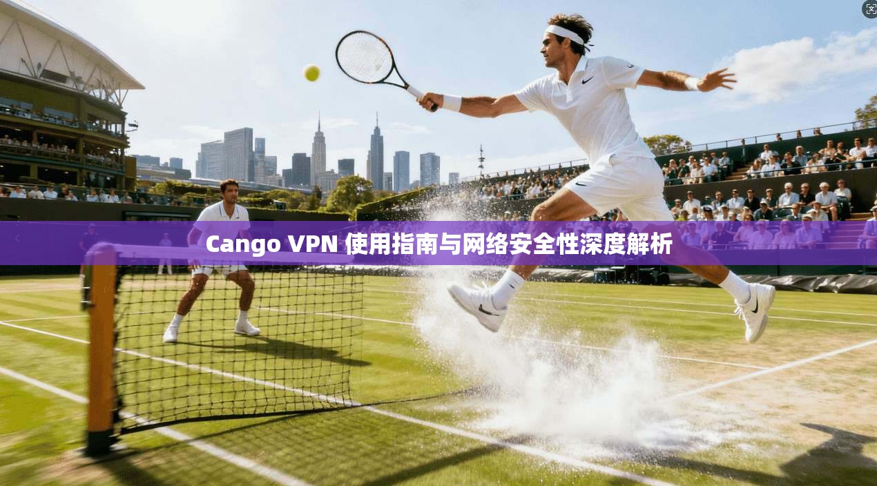 Cango VPN 使用指南与网络安全性深度解析
