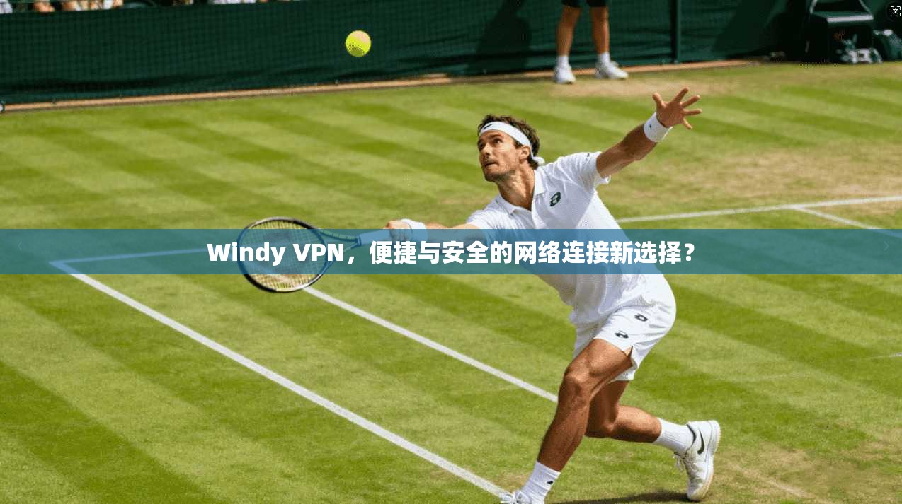 Windy VPN，便捷与安全的网络连接新选择？