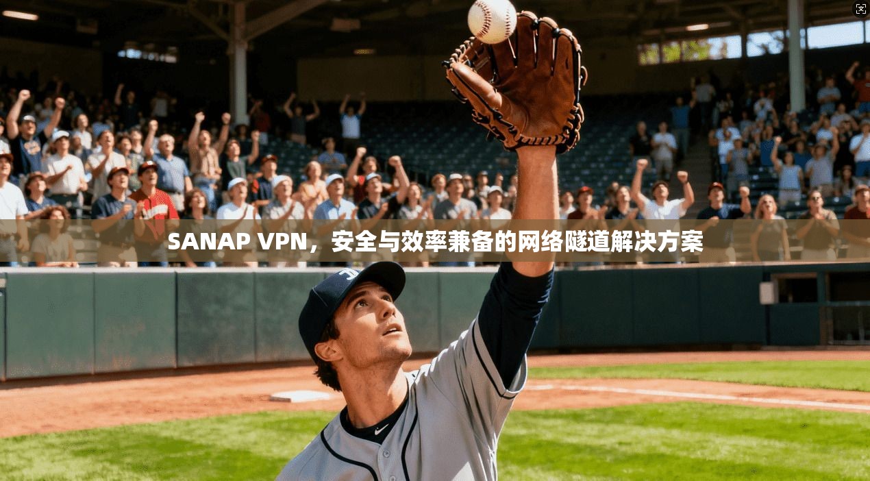 SANAP VPN，安全与效率兼备的网络隧道解决方案