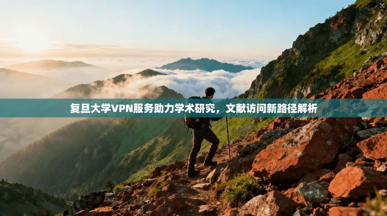 复旦大学VPN服务助力学术研究，文献访问新路径解析