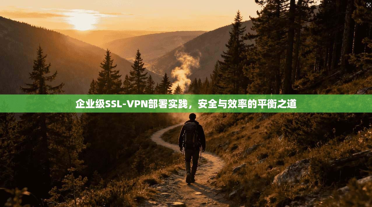 企业级SSL-VPN部署实践，安全与效率的平衡之道