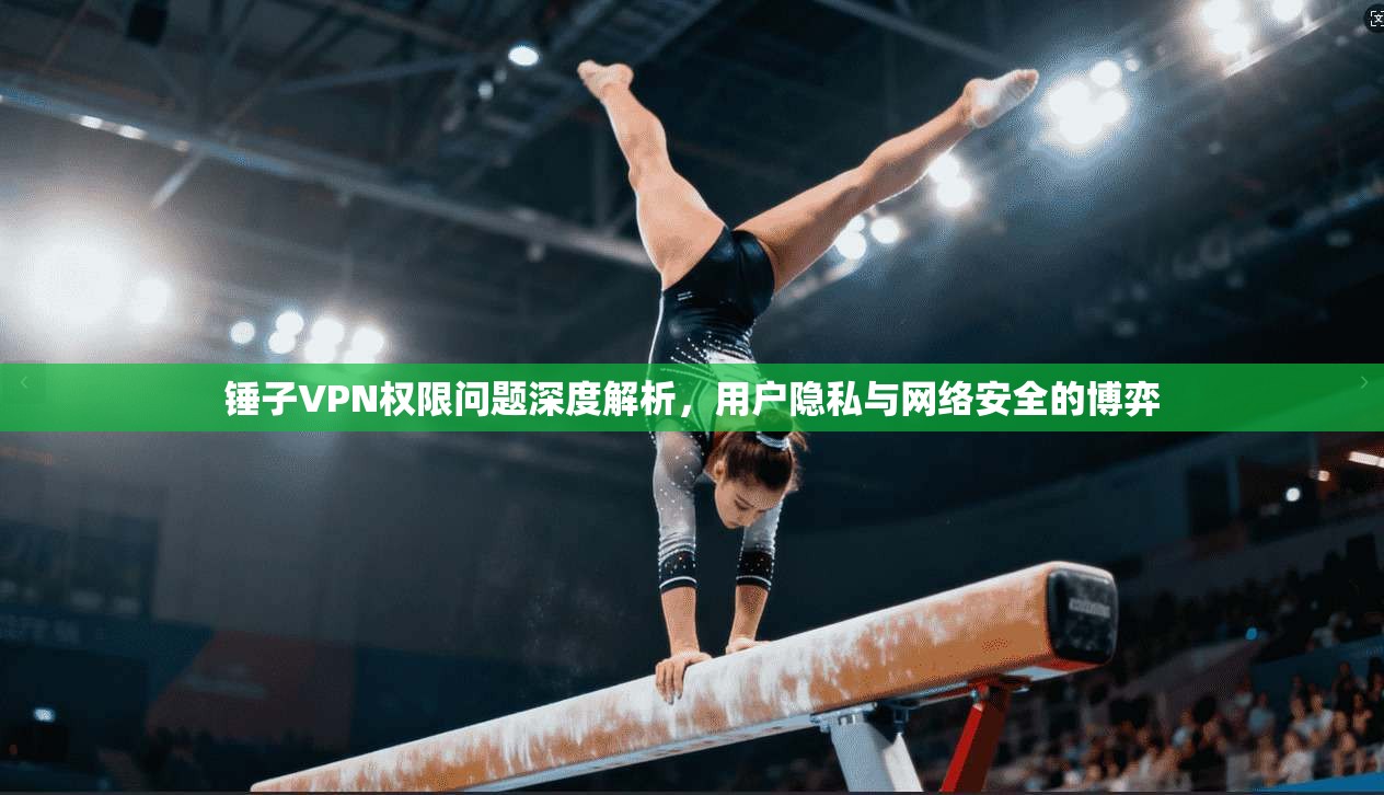 锤子VPN权限问题深度解析，用户隐私与网络安全的博弈