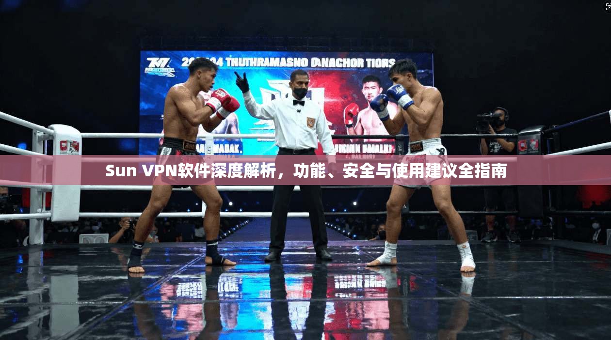 Sun VPN软件深度解析，功能、安全与使用建议全指南