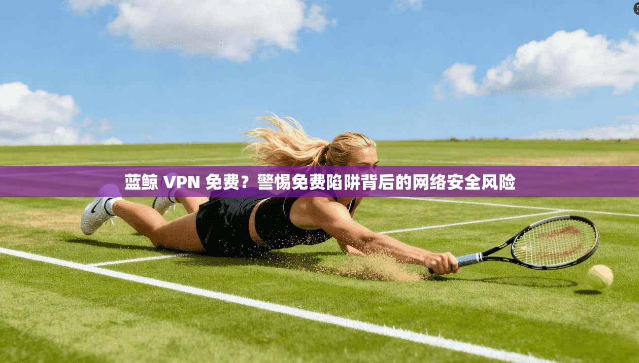 蓝鲸 VPN 免费？警惕免费陷阱背后的网络安全风险