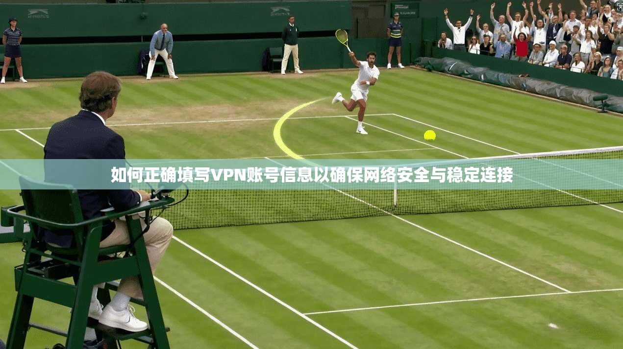 如何正确填写VPN账号信息以确保网络安全与稳定连接