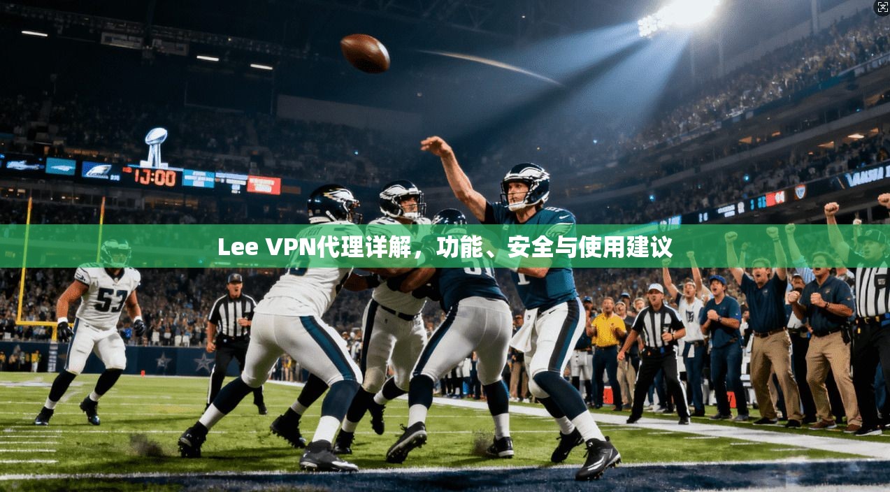Lee VPN代理详解，功能、安全与使用建议