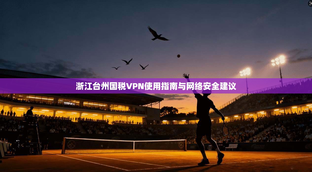 浙江台州国税VPN使用指南与网络安全建议