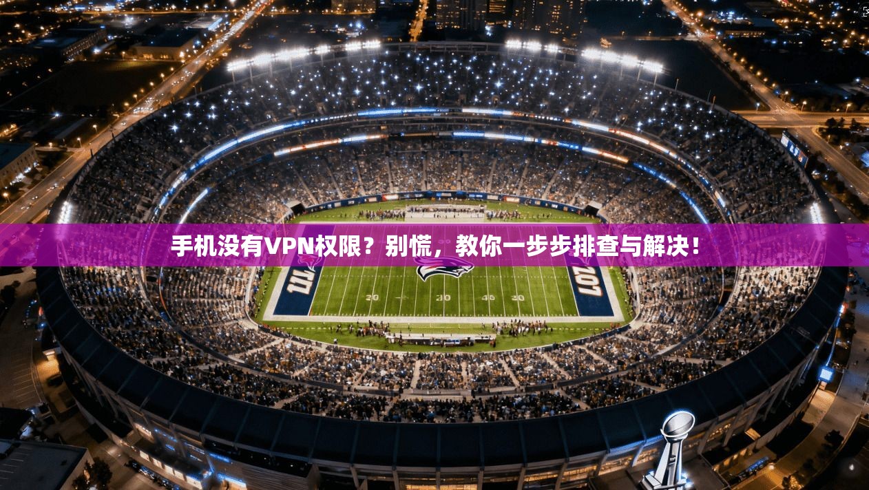 手机没有VPN权限？别慌，教你一步步排查与解决！